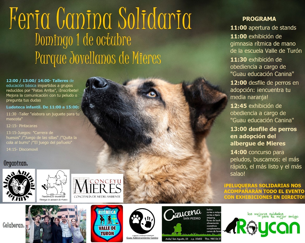 Cartel web Feria Canina Solidaria