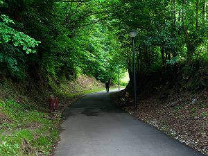 Senda a Returbiu (Fot.:Carlos Salvo).