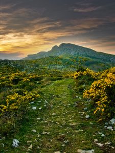 Sierra de Llagos  (Fot.: Carlos Salvo)