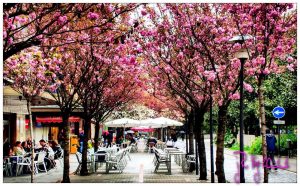 Primavera En La Calle Aller Parque Xovellanos