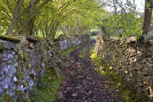 Camino en Yana'l Pumar (Fot.: Jose Luis Soto).