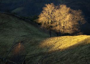 Cordal d'Urbiés (Fot.: Jose Luis Soto).