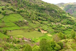 La Llosa y Tablao (Fot. : Asoc. Cultural Los Averinos)