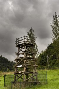 La torre de Suso en El Pedroso (Fot. Carlos Salvo - AF Semeya).