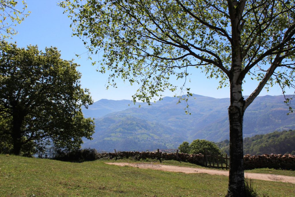 Paisaje Protegido de Las Cuencas Mineras desde el área recreativa La Teyerona.