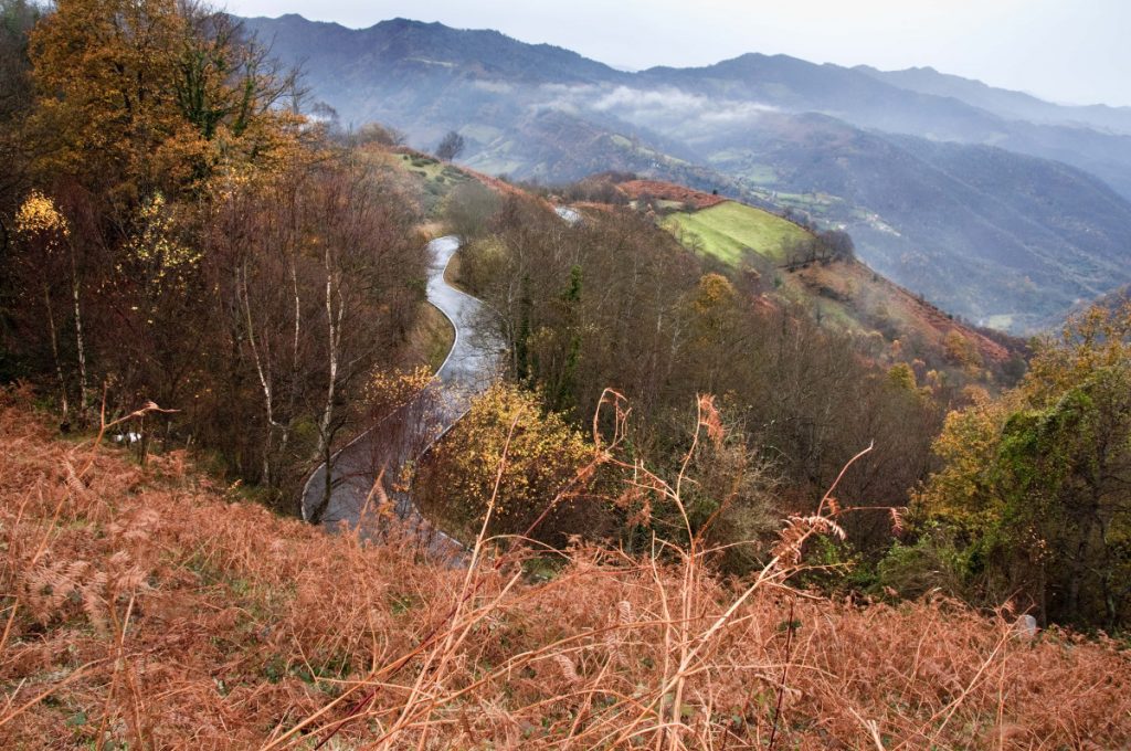 Carretera a El altu La Faya (Fot.: Jose Luis Soto).