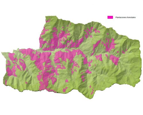 Mapa de las plantaciones forestales de Mieres en el espacio protegido de Las Cuencas Mineras.
