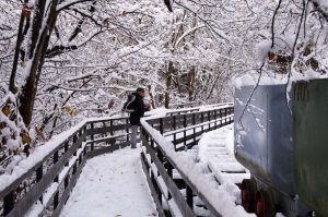 Puente Pomar nevado, la senda verde de Turón(Fot.: José Luis Soto).