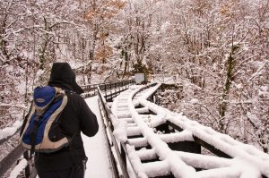 Puente Pomar nevado, senda verde deTurón (Fot.: José Luis Soto).