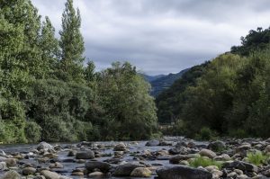 Río Aller en Bustiello (Fot.: Vero -AF Semeya).