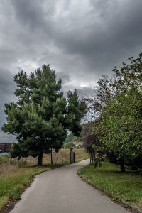 Senda verde de Turón en Figareo (Fot.: Ana Belen Rodríguez - AF Semeya).