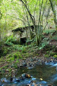 Vista Molin del Pindal - Urbiés (Fot: José Luis Soto)