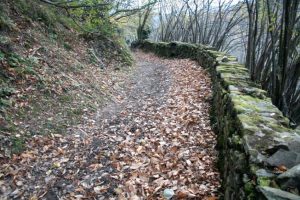 Camino Real de Urbiés