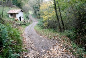 Camino Real de Vistrimir-Riosa