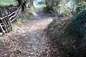 Camino empedrado de Requintín