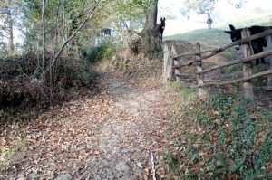 Camino empedrado de  Requintín