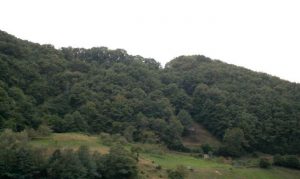 Castro del Cuitu Castiellu
