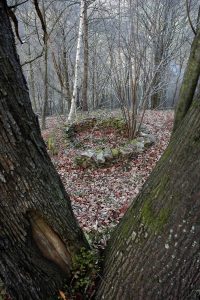 Corro de castañas en Turón (Fot. Jose Luis Soto).