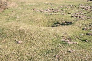 Detalle Necrópolis Tumular de Les Llanes