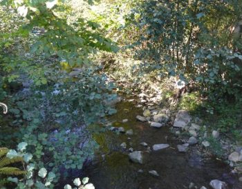 Hábitat de interés especial en el río Turón.