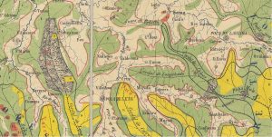 Mieres mapa vegetación 1862 (Fuente: IGN)