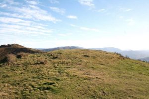 Necrópolis Tumular de Les Llanes