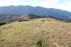 Panorámica Necrópolis Tumular de Les Llanes