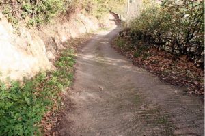 Camino de Trespalacio a  Prado Llagos