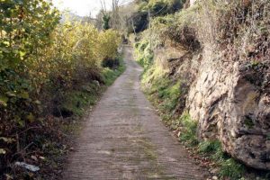 Camino de Trespalacio a Prado  Llagos