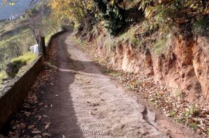 Camino de Trespalacio a Prado Llagos