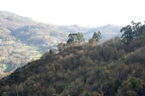 Panorámica Castro de Peña Tayá