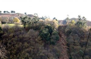 Panorámica Castro del Collau de Brañanoceo