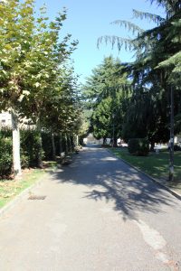 Paseo en los jardines de Juan XXIII.