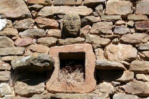 Detalle Casa del Tíu Elías