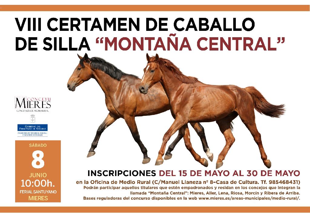 Cartel Web Certamen De Caballo De Silla Montaña Central 2019