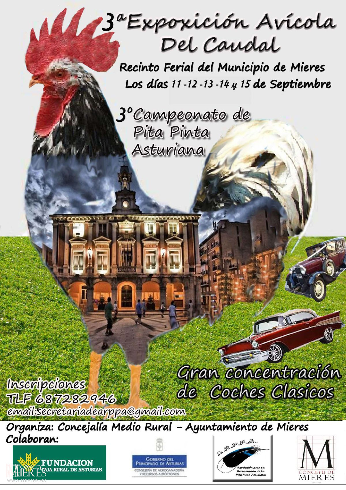 Cartel Exposicion Avicola Del Caudal 2019