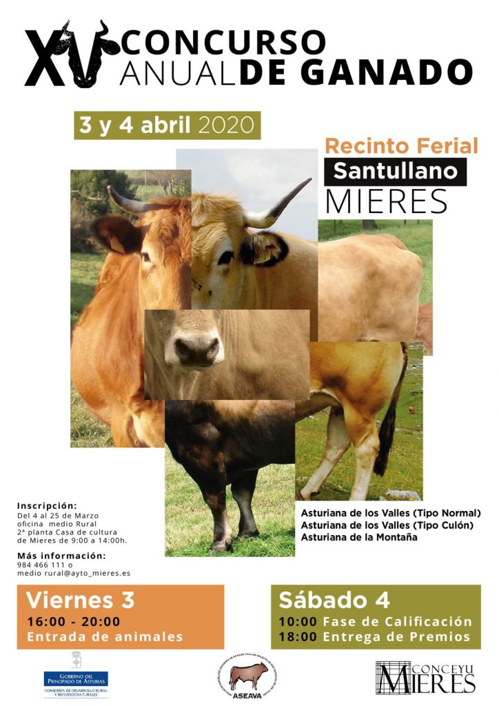 Cartel Web Concusro Anual Ganado Mieres 2020