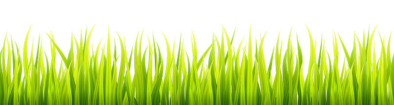 Hierba Banner Hierba Banner