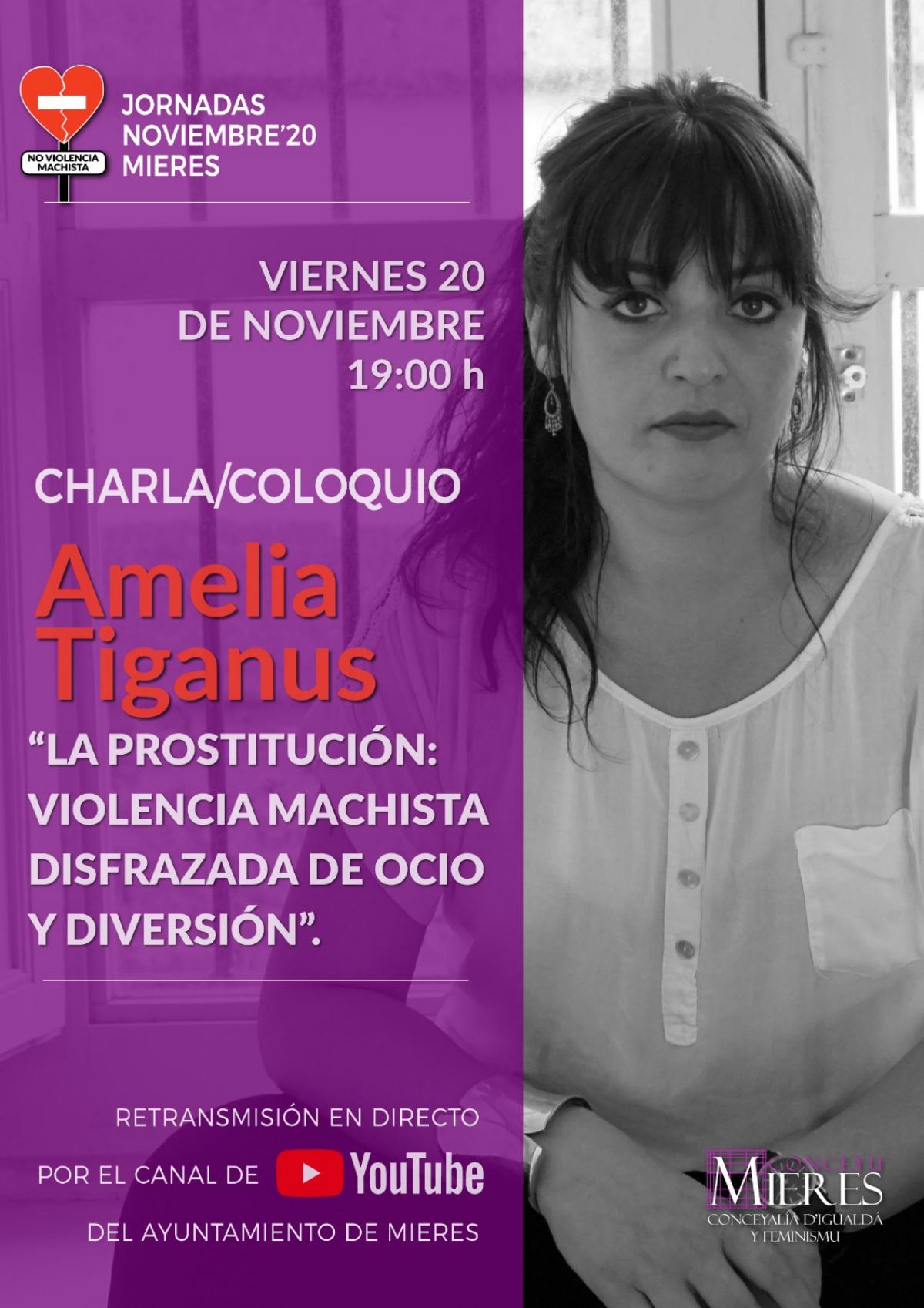 Cartel 25N Amelia Tiganus