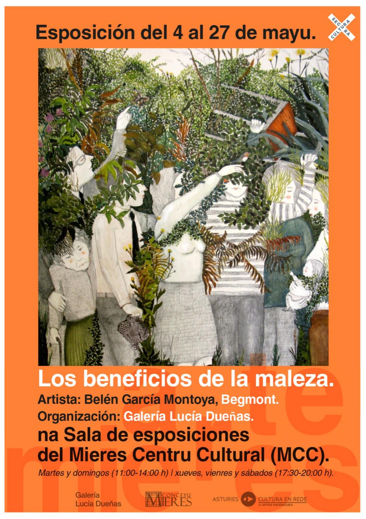 Los Beneficios De La Maleza Nuevo Cartel