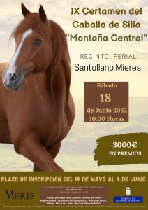 Cartel Certamen Caballo De Silla Montaña Central