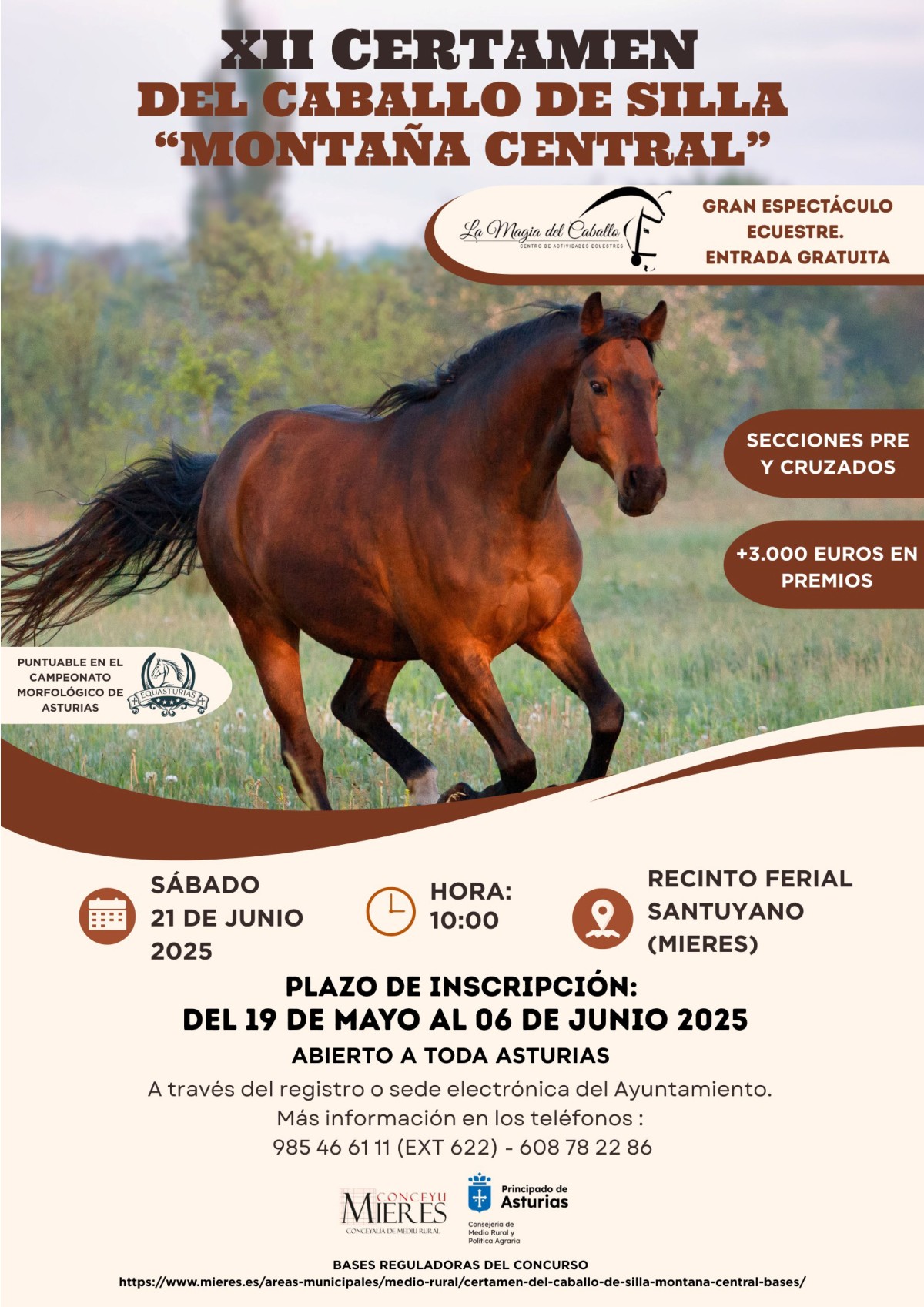 Cartel Certamen Caballo Silla 2025 Mieres