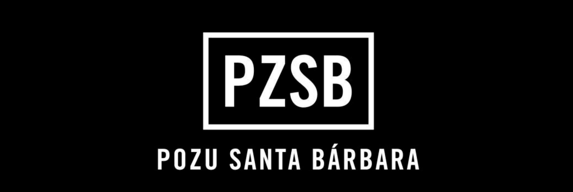 Banner Pzsb