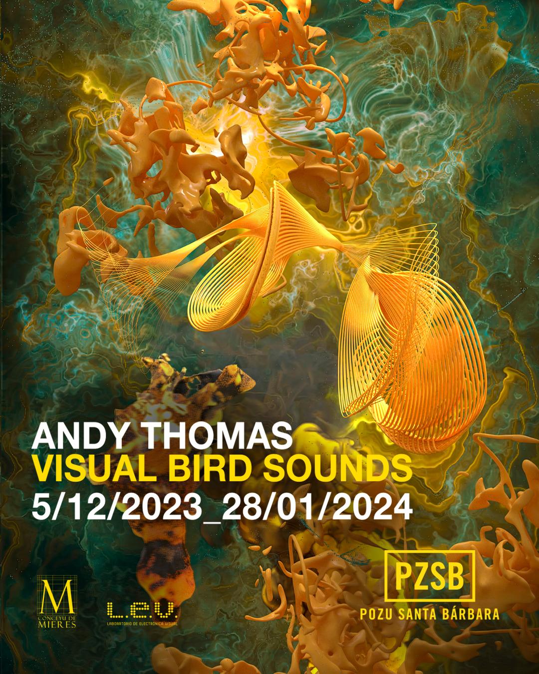 Visual Bird Sounds", de Andy Thomas (05DIC/28ENE) - Ayuntamiento de Mieres