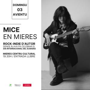 MICE En MIERES