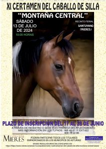 CARTEL CABALLO Silla Mieres 2024
