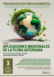 Cartel Web Taller Medicinales Flora 2025