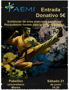 Taekwondo Mieres 2025