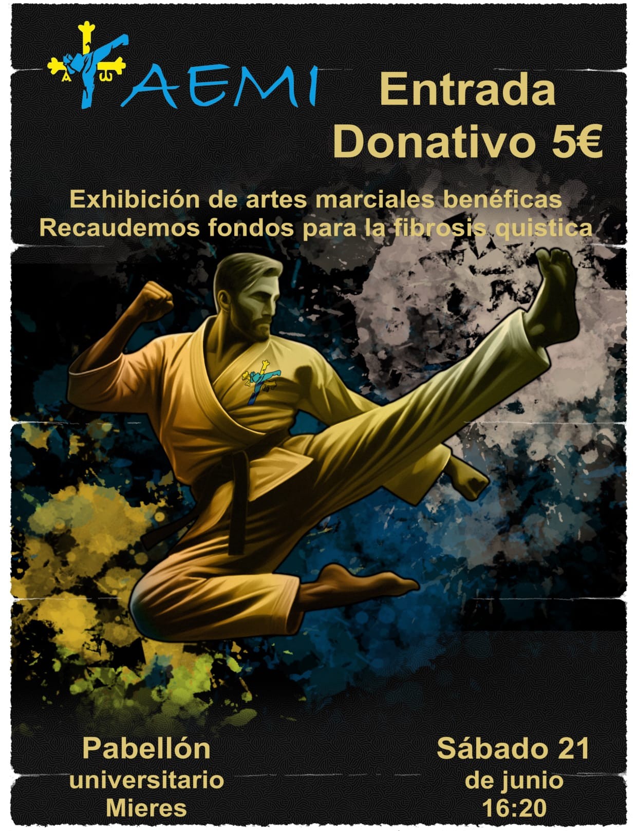 Taekwondo Mieres 2025