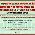 Infografía Ayudas IBI 2025